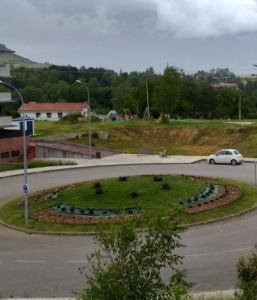 Plantación de los arbustos